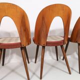 Set of 4 dining chairs by Antonín Šuman, 1960s