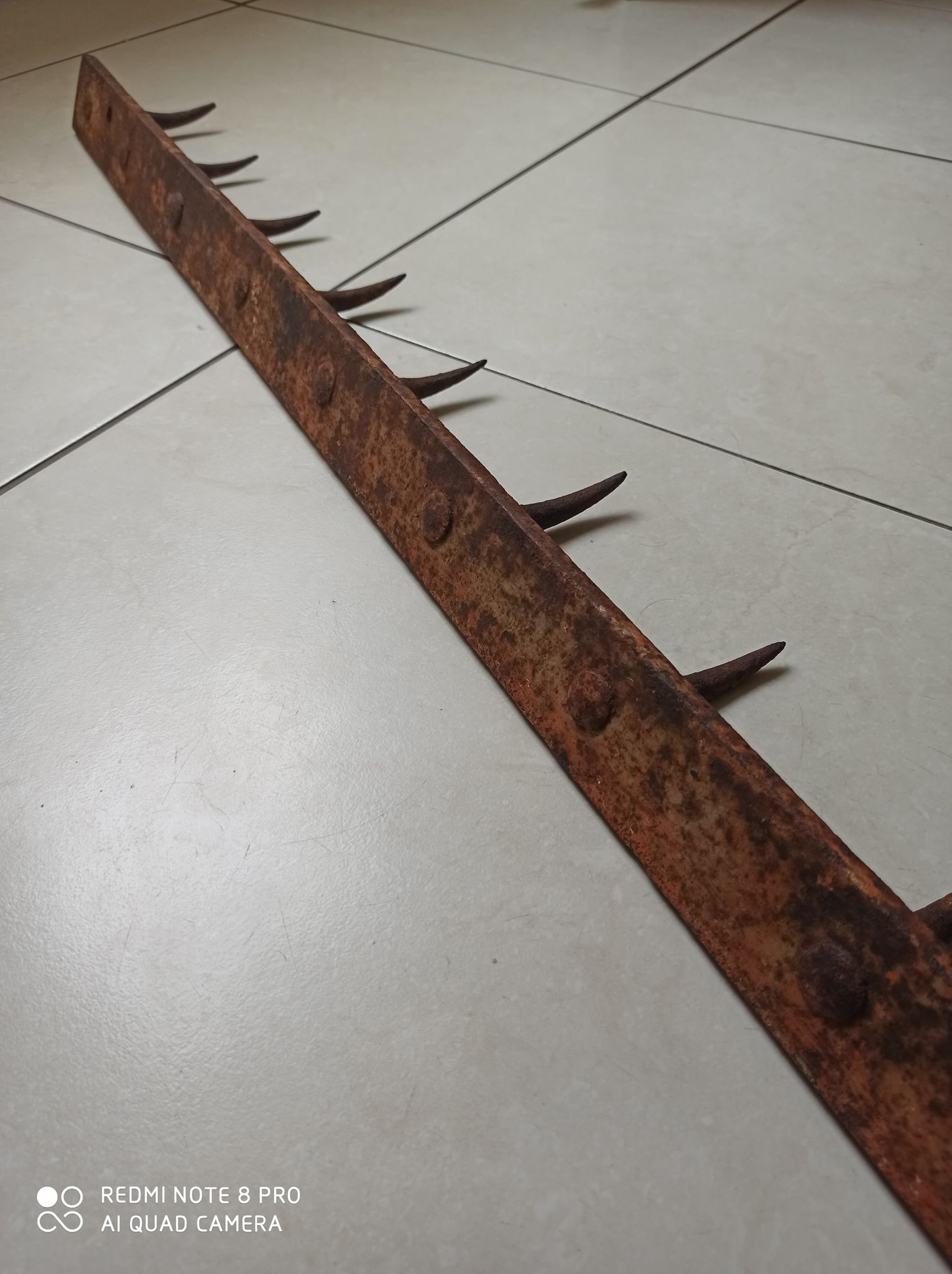old bar teeth wolf hooks butcher deco indus