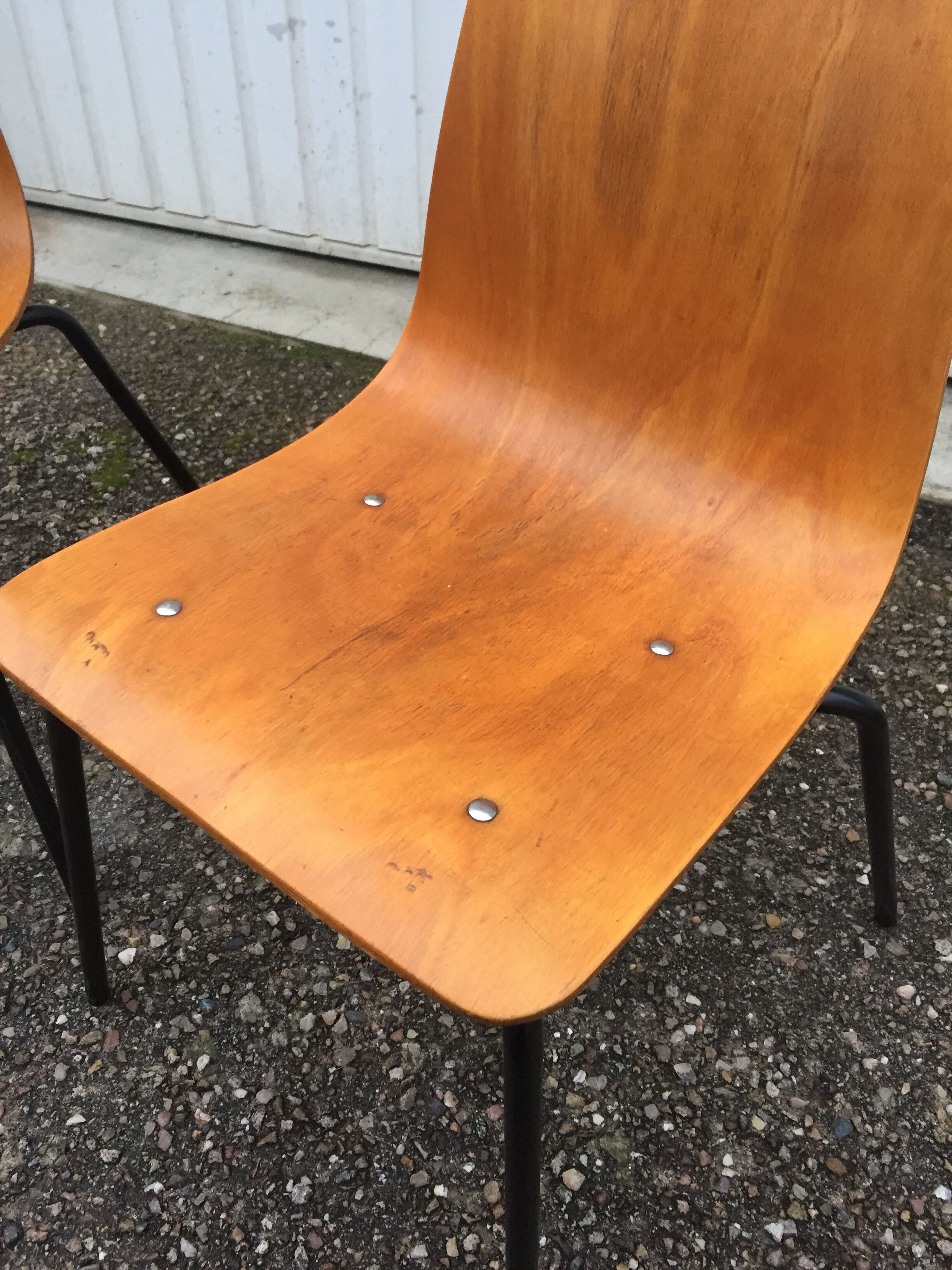 Pair of Papyrus chairs (Steiner edition)