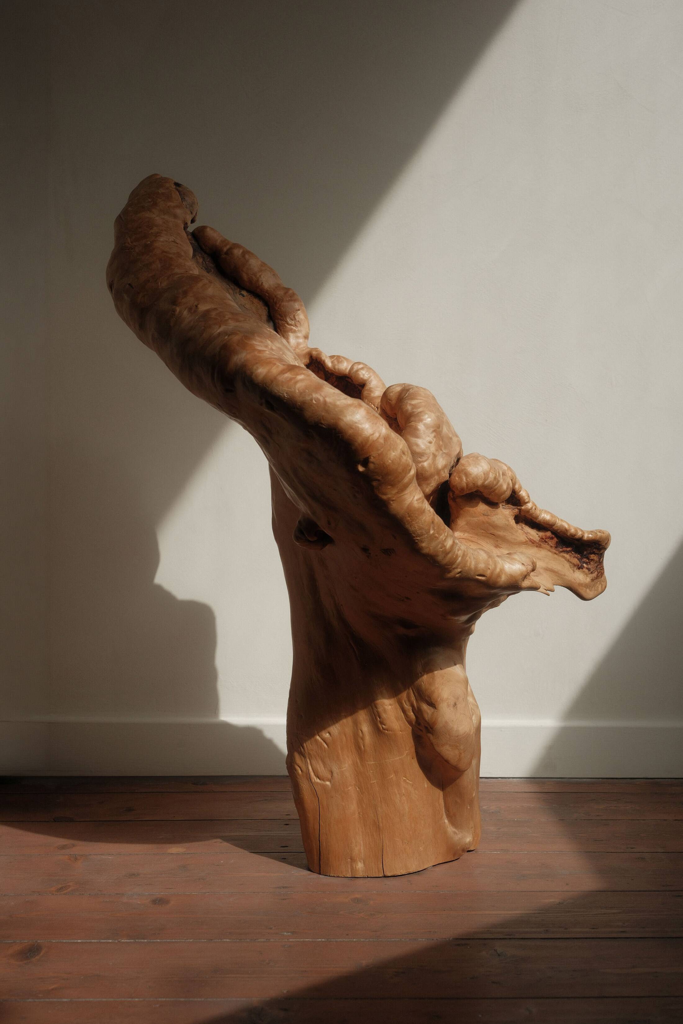 Sculptural lamp in burl wood