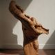 Sculptural lamp in burl wood