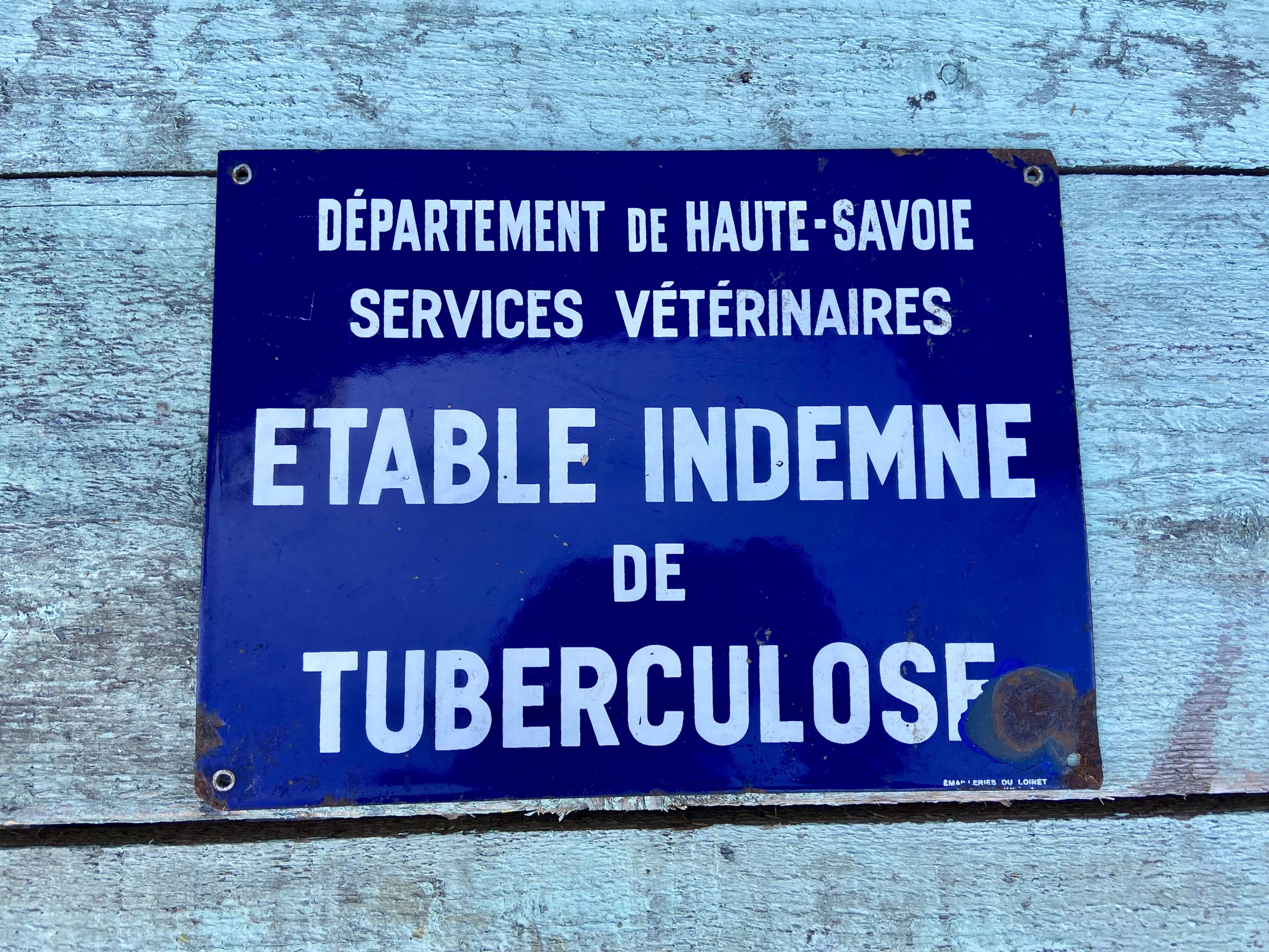 Enamelled plaque tuberculosis