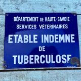 Enamelled plaque tuberculosis