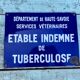 Enamelled plaque tuberculosis