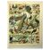 Antique engraving 1897 - Birds 4, farmyard species