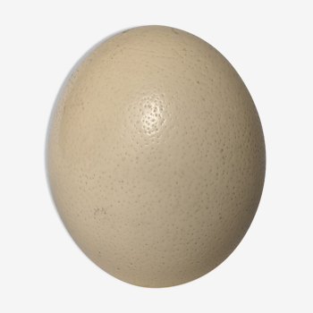 Ostrich eggs from Africa