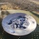Large plate Villeroy and Boch - Iris model