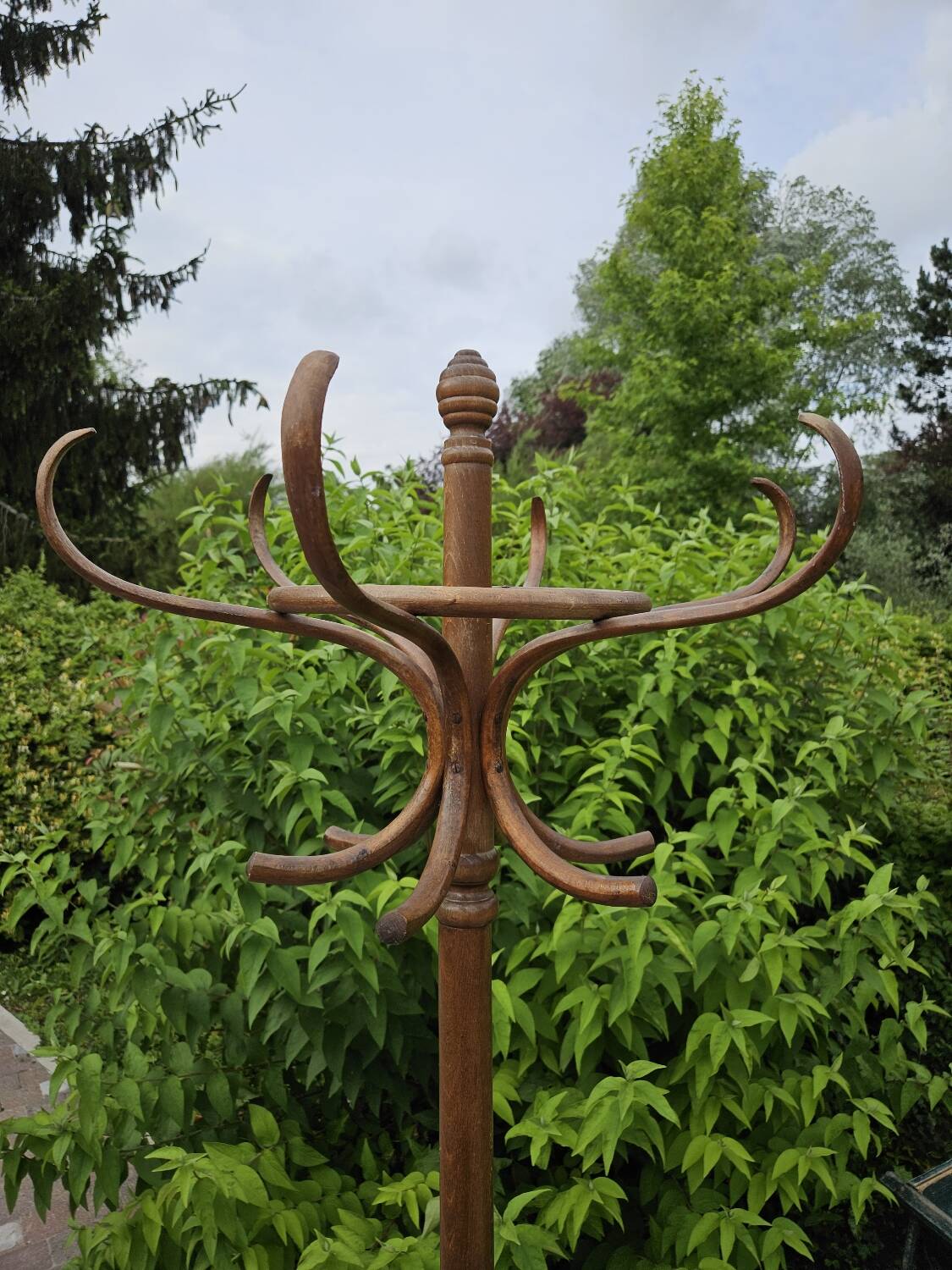 Parrot coat rack