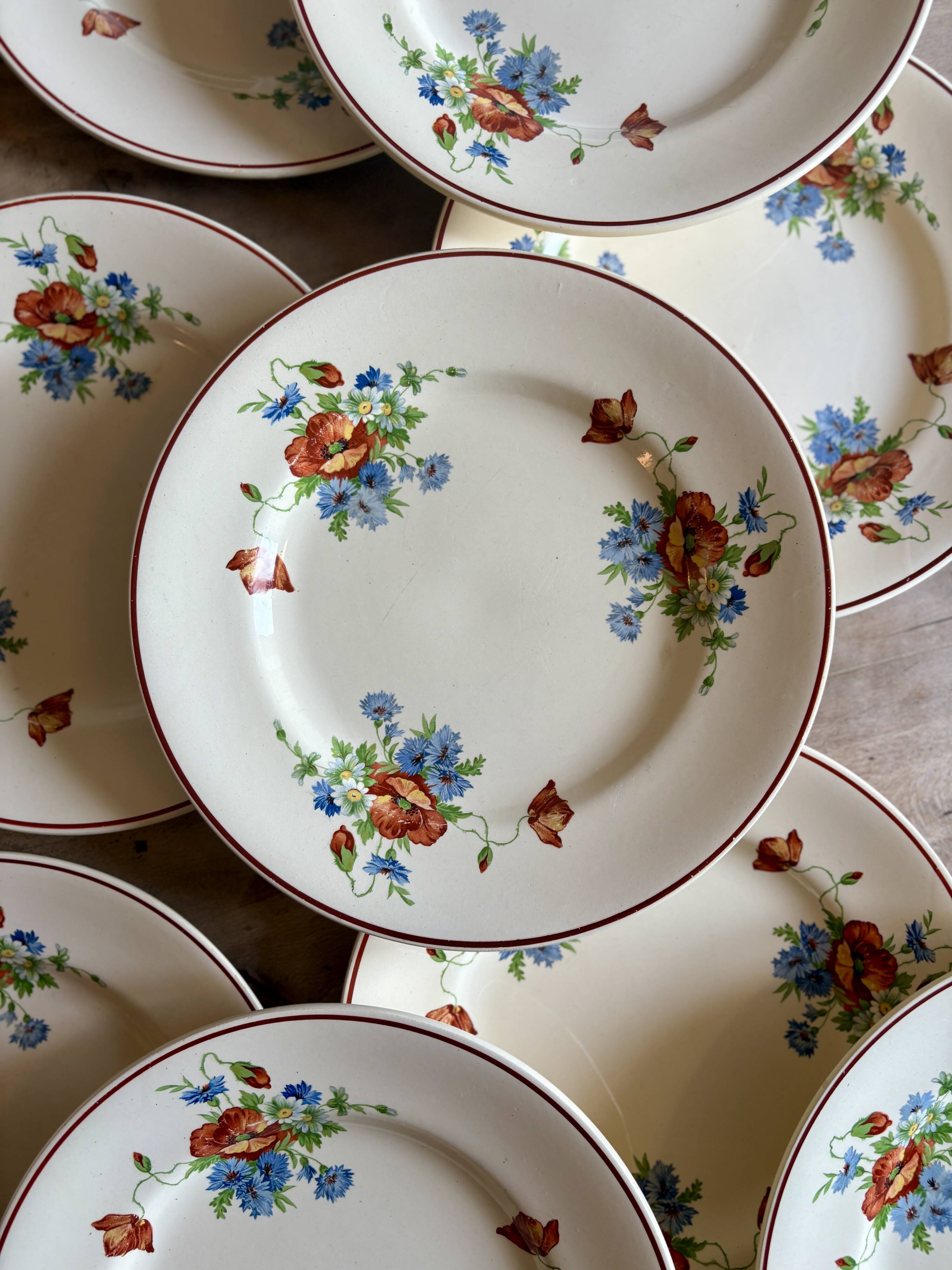 Set of 12 old flat plates with flower decorations - Salins