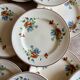 Set of 12 old flat plates with flower decorations - Salins