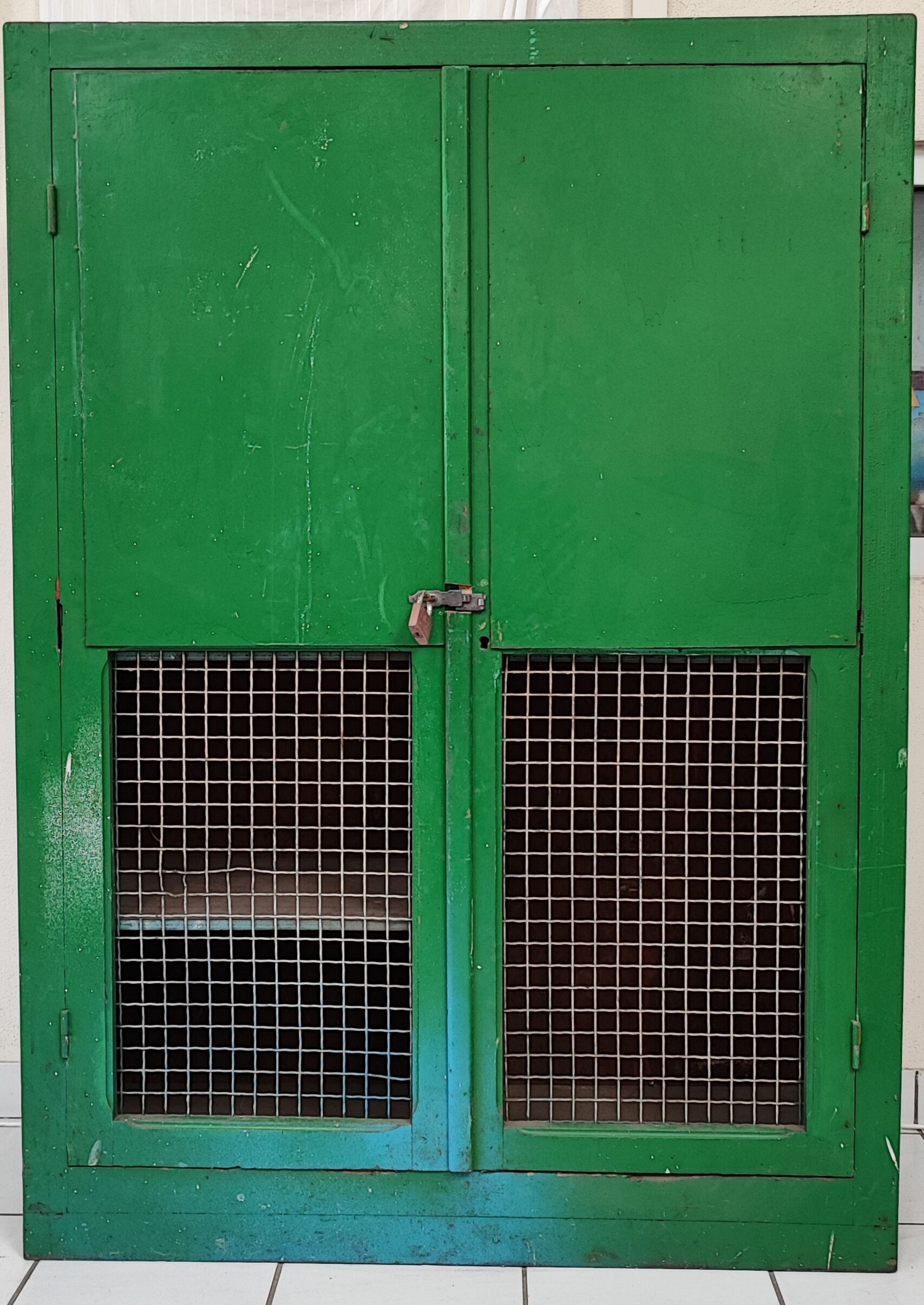 Wood workshop cabinet and mesh doors