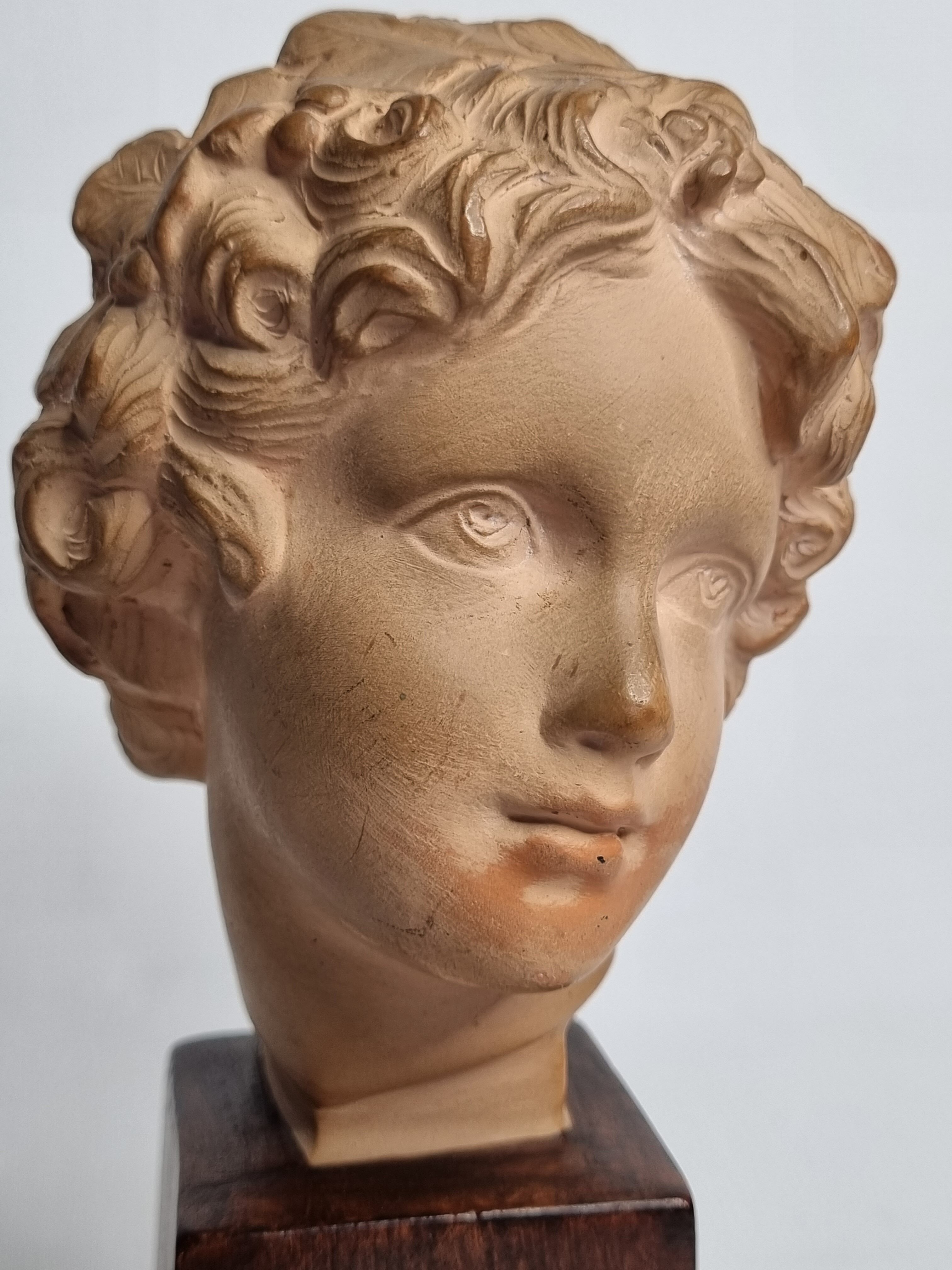 Bust of Bacchus child in patinated terracotta, 21 cm