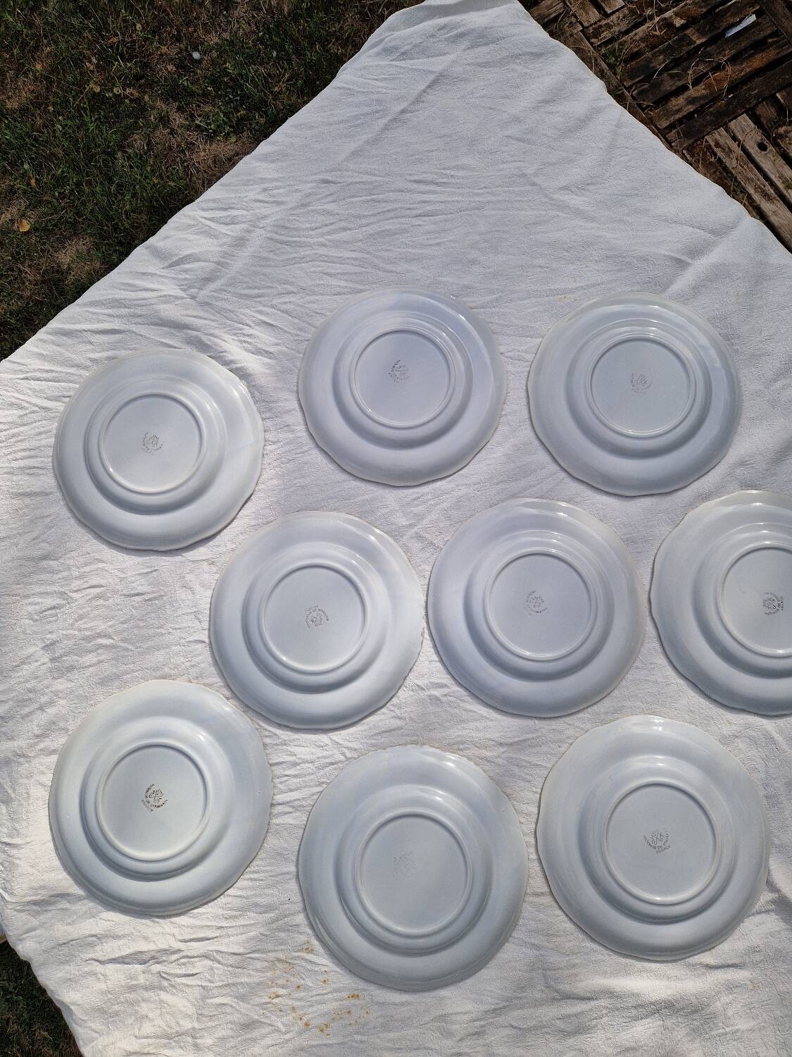 Lot de 9 assiettes plates saint Amand decor poissons