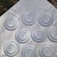 Set of 9 Saint Amand flat plates with fish decor