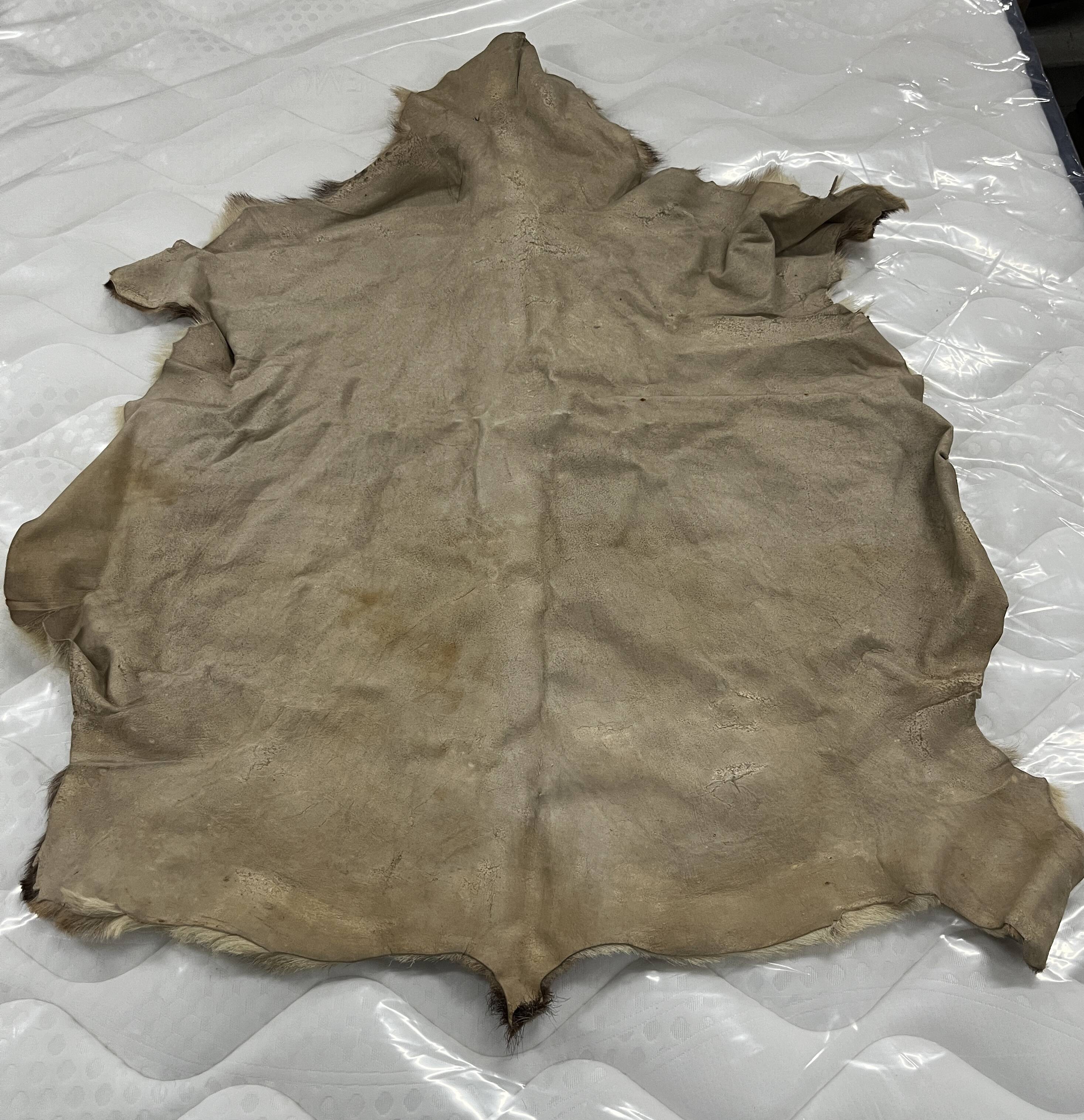 Goat skin rug, 20th century.