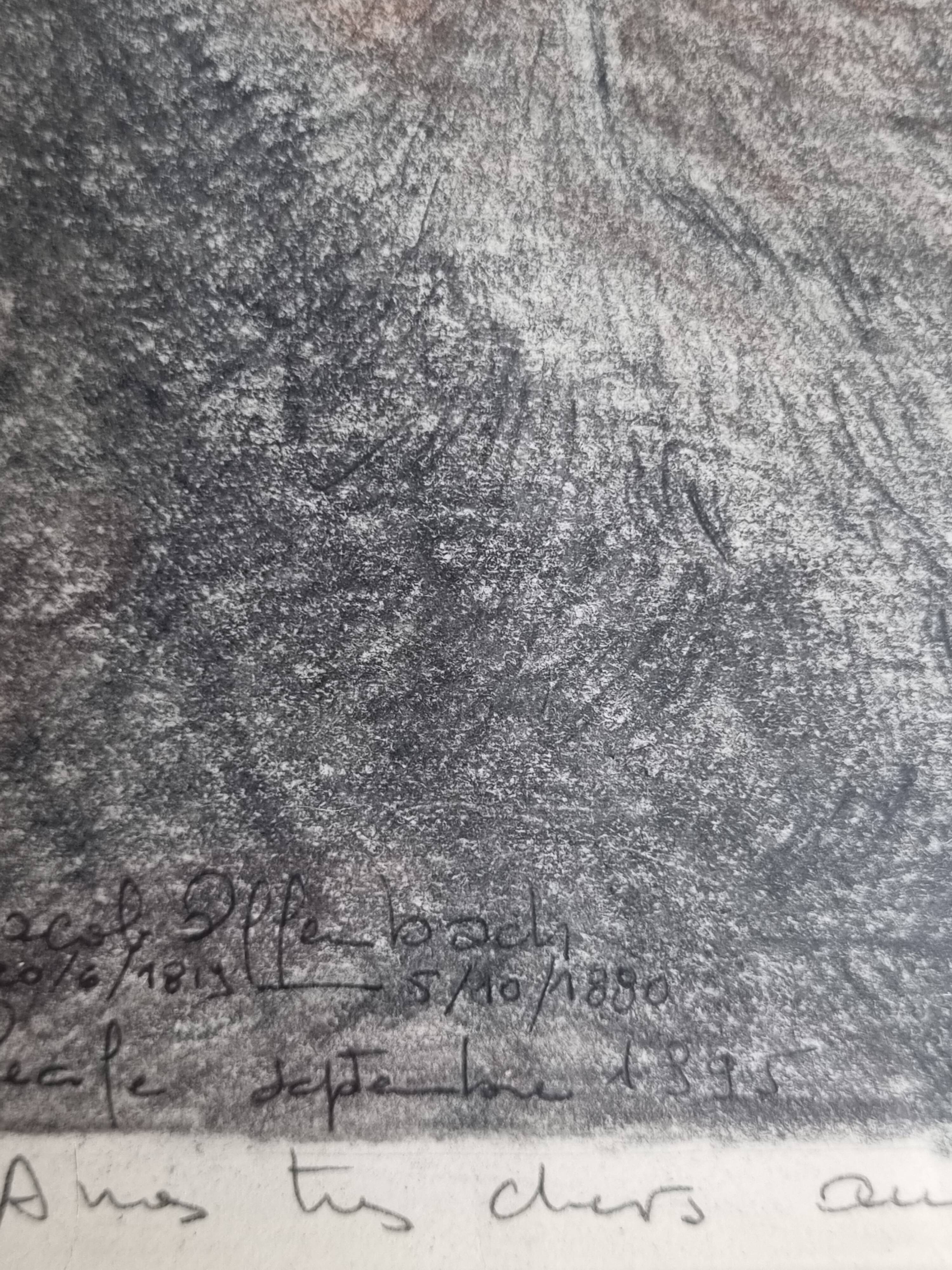 Portrait of Jacques Offenbach inspired by a photograph by Nadar, Framed and signed, 34 x 43 cm