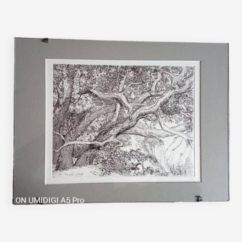 Black engraving - Christine Delessert - 20.5 x 26.5 cm - justified 8/100