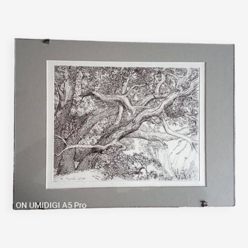 Gravure en noir - Christine Delessert - 20,5 x 26,5 cm - justifiée 8/100