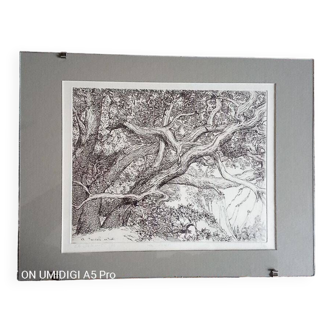 Black engraving - Christine Delessert - 20.5 x 26.5 cm - justified 8/100