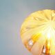 Vintage amber glass wall lamp by Wila Leuchten, Germany 1970's