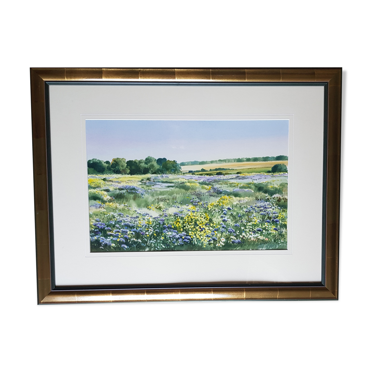 Framed watercolor - Flowery landscape