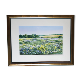 Framed watercolor - Flowery landscape