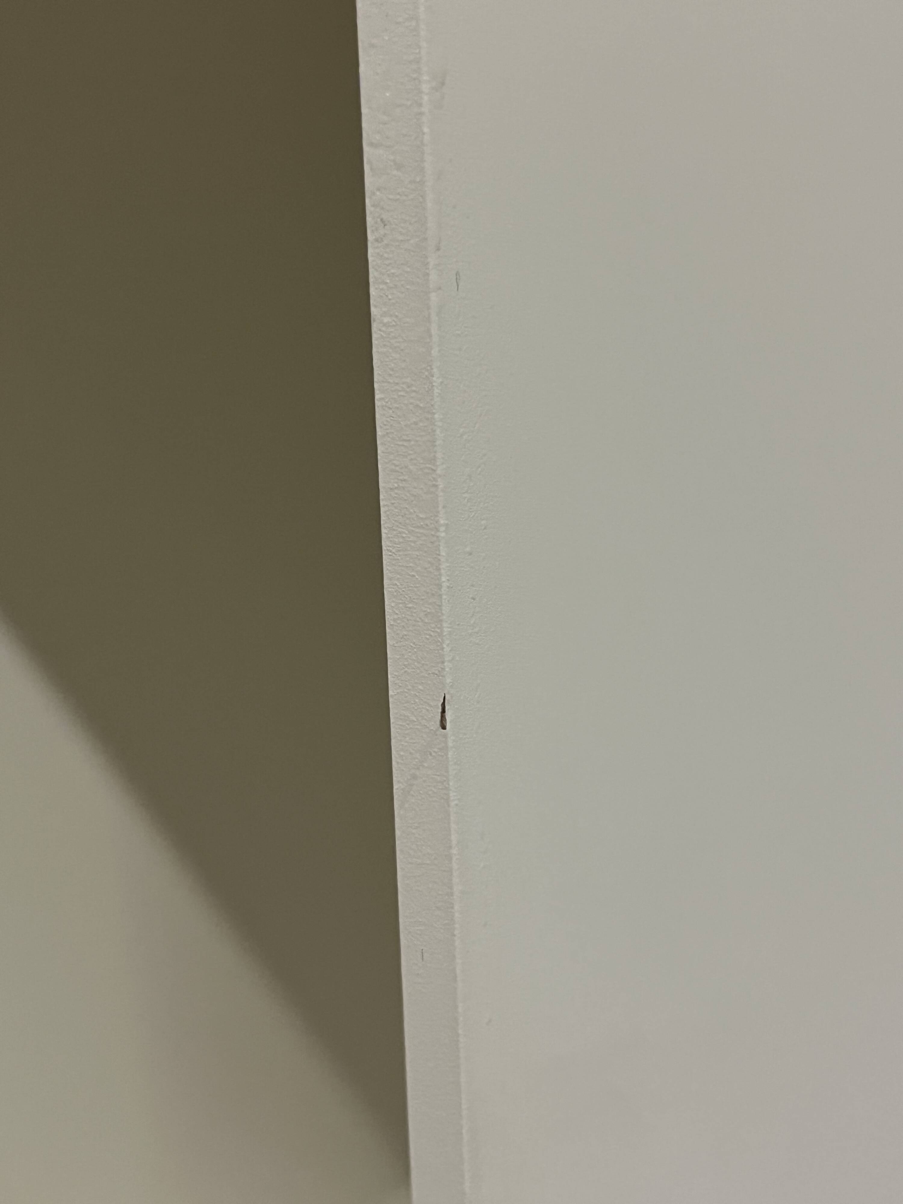Random bookcase in white wood / W 81 x H 217 cm - MDF Italia