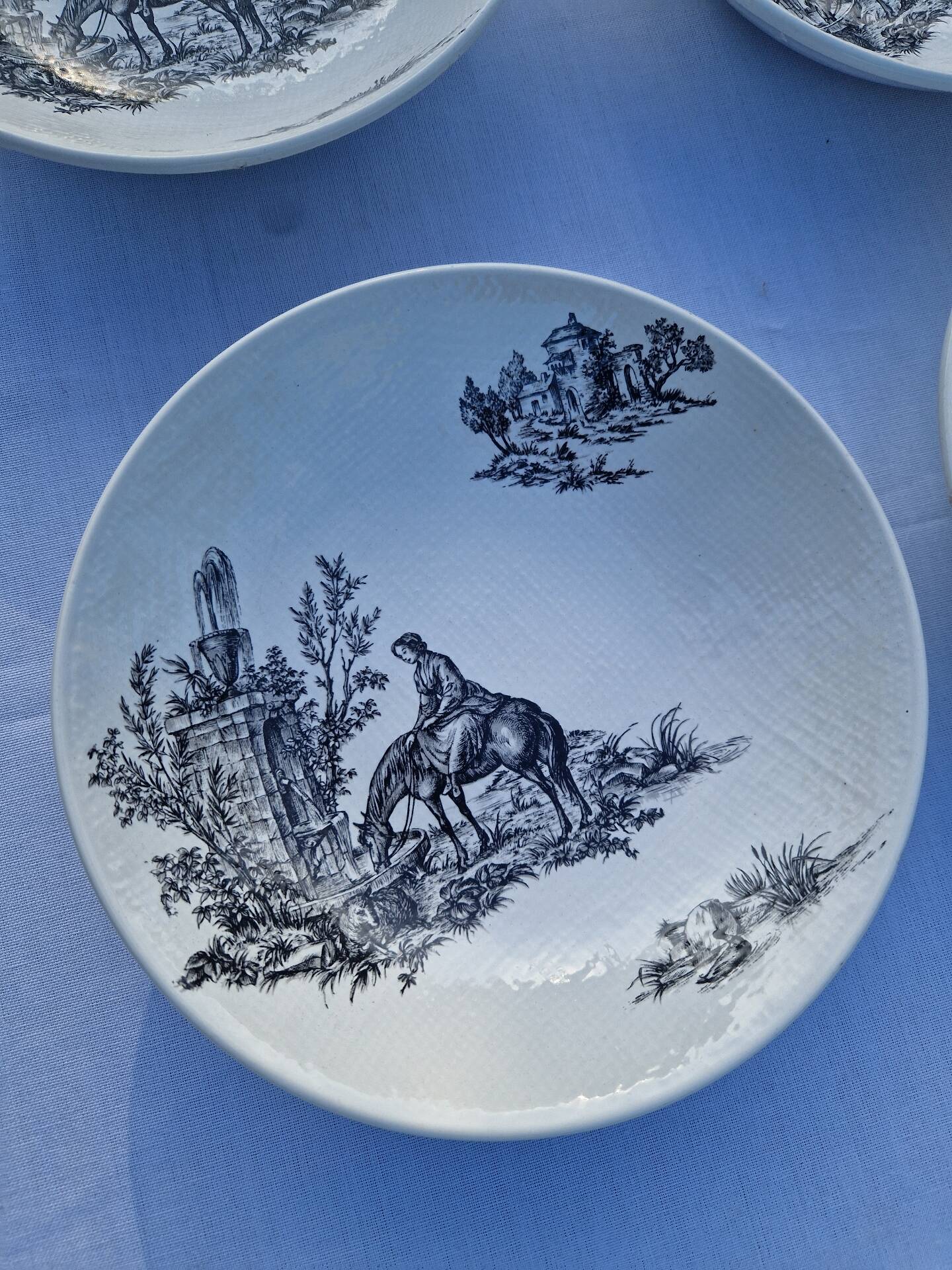 Assiettes Creuses Ou Bols Salins Modèle Pastorale