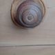 Chevet ancien fabrication artisanale