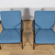 Model 300-139 Mid Century Modern Armchairs from Swarzędz Factory, Poland.