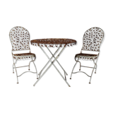 Set table and 2 garden chairs