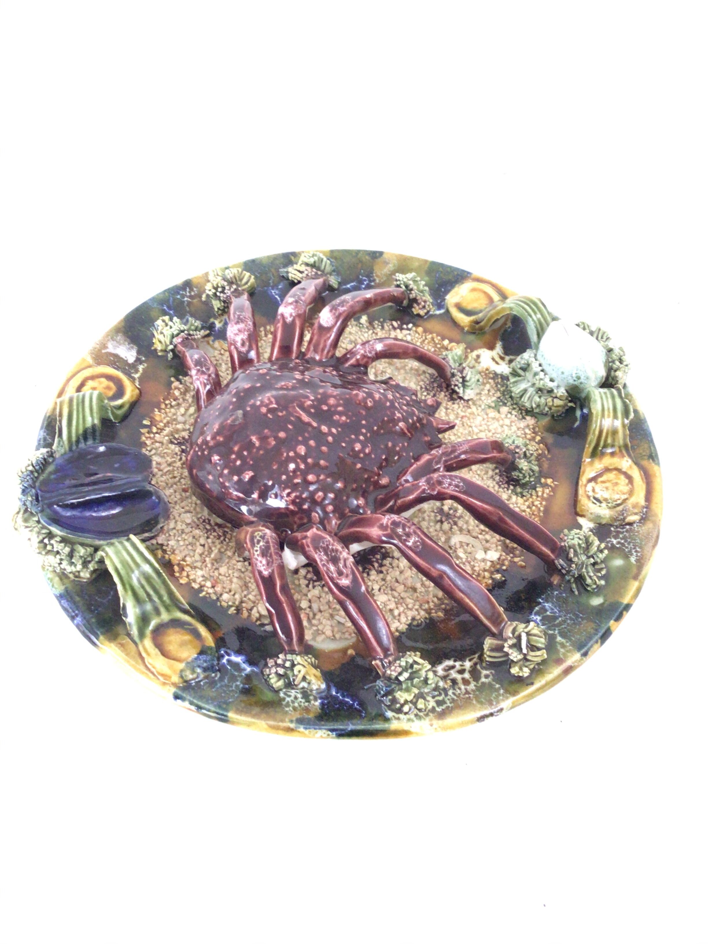 Naturalistic plate Spider earthenware of Caldas