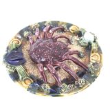Naturalistic plate Spider earthenware of Caldas