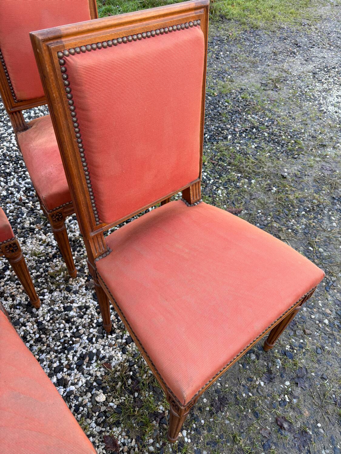 Louis XVI style chairs