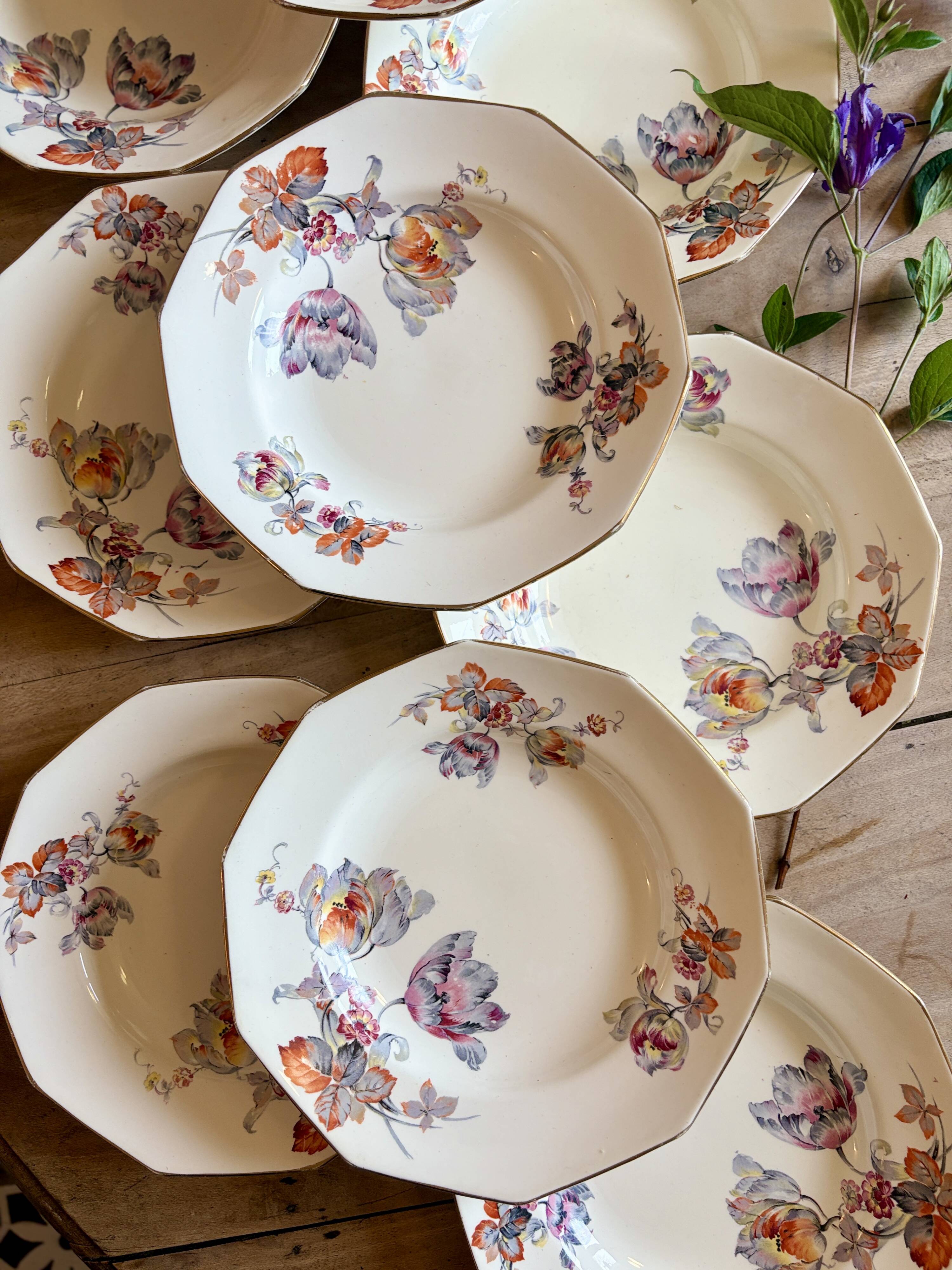 Set of 10 old hollow plates - Saint Amand in iron earth