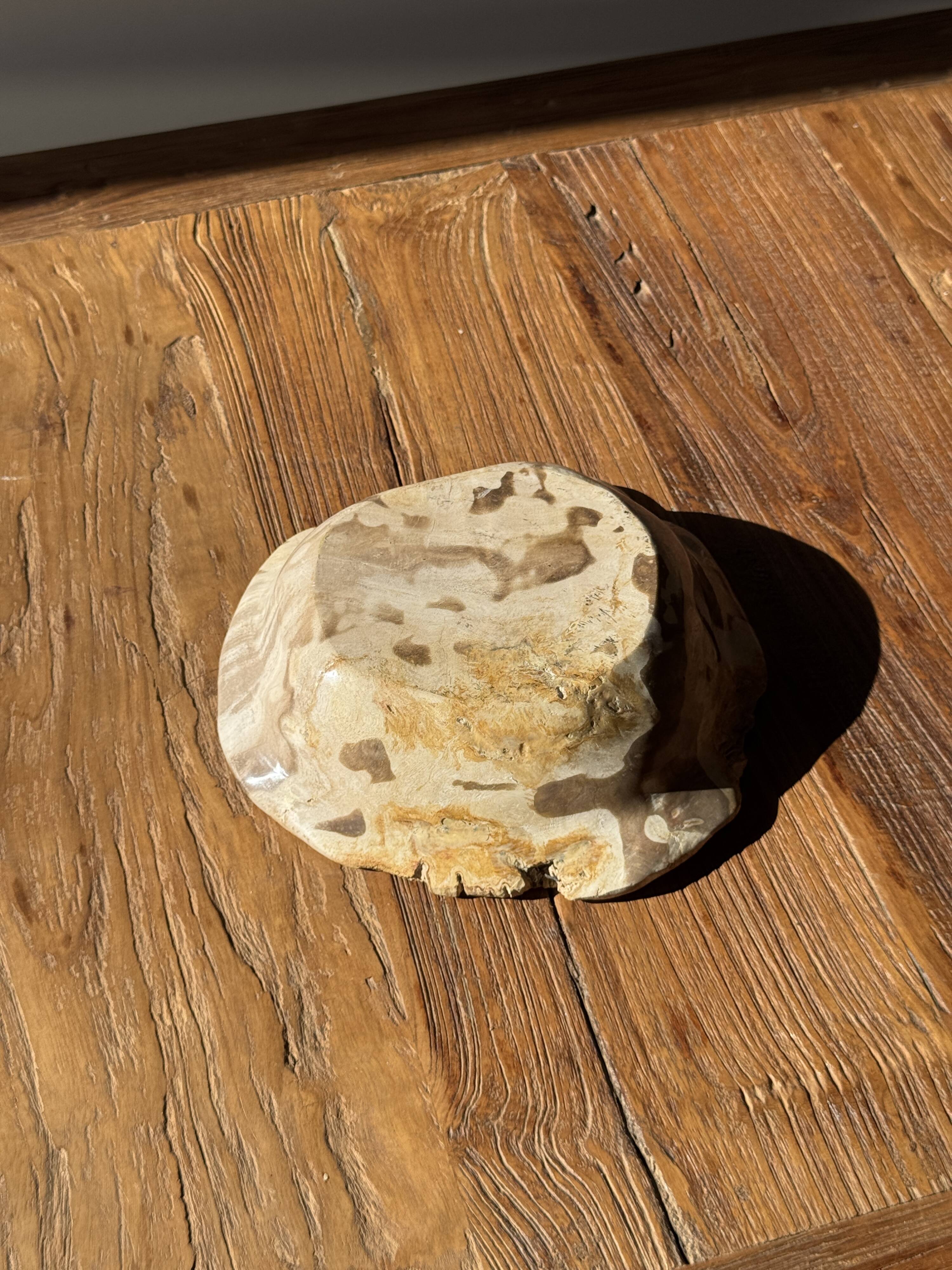 Round beige petrified wood bowl D21- 3780