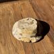 Round beige petrified wood bowl D21- 3780