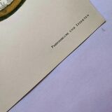 Vintage illustration. Passion flower by Merian - botanical plate