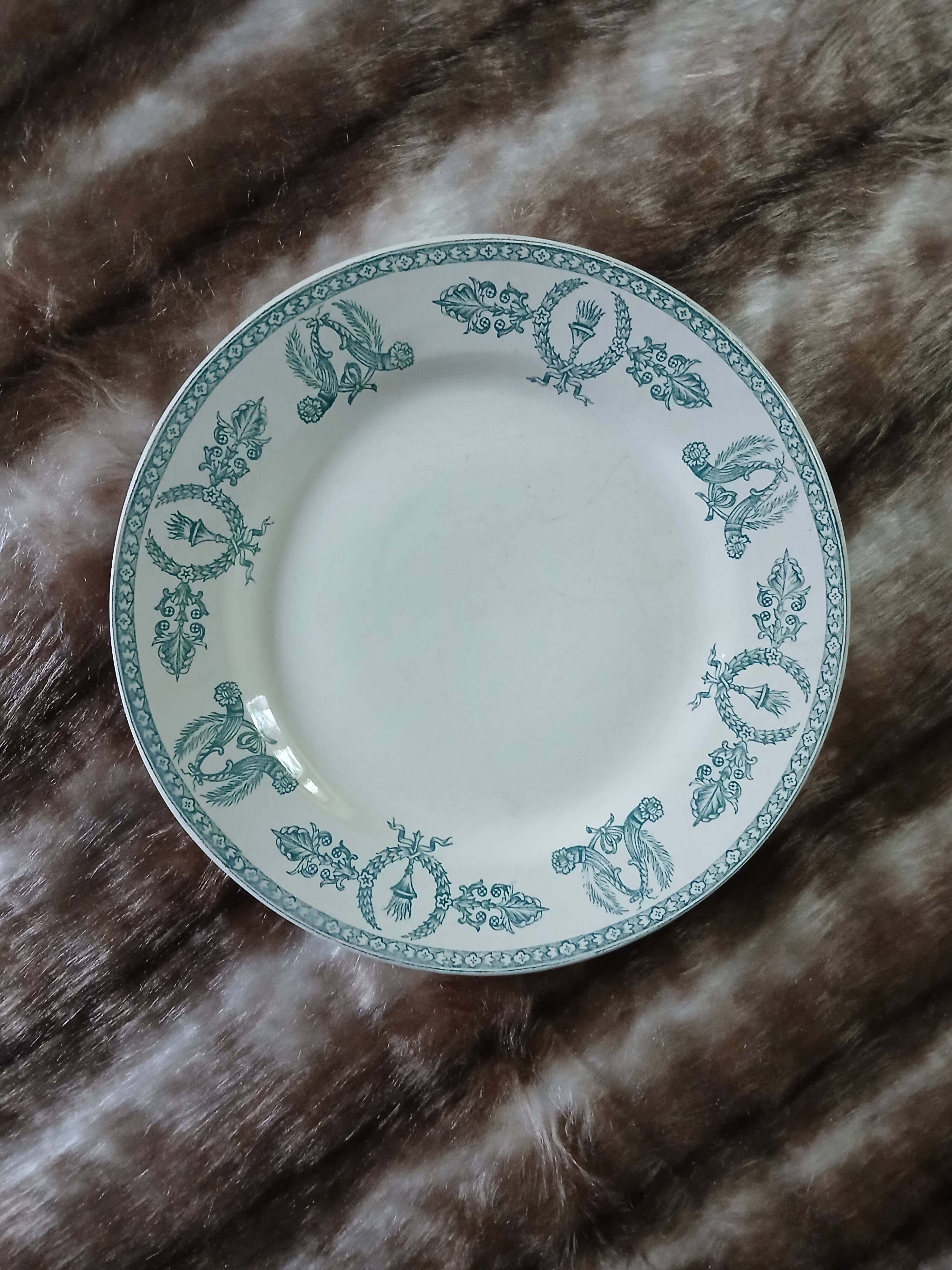 10 assiettes plates anciennes en Terre de fer