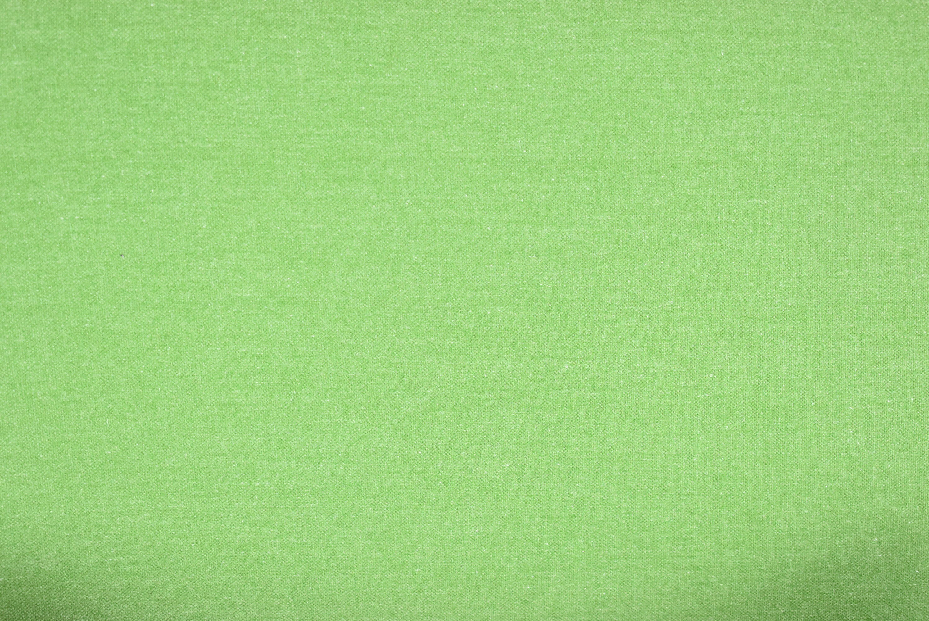 Vintage armchair "Bunny" 1960s, spring green