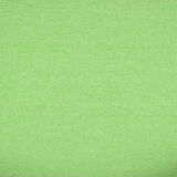 Fauteuil vintage "Bunny" années 1960, vert printemps