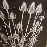 Vintage Office Paper Basket Massilly 60's Metal