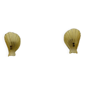 Set of 2 Sölken leuchten Murano glass shell wall lamps , 1970s