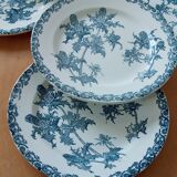 Six plates in Iron Earth