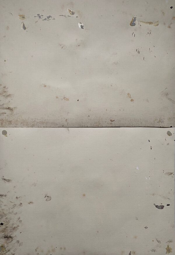 Pendant Tableaux aquarelle XIX° Chiens anglo-artésiens et récri signé H. de L.C.