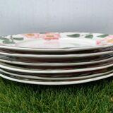 6 flat plates Villeroy and Boch, Wild-Rose model