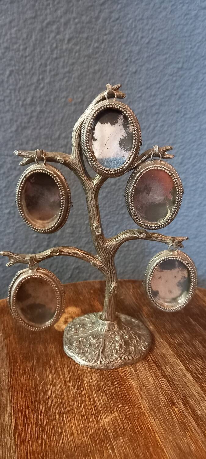Tree photos