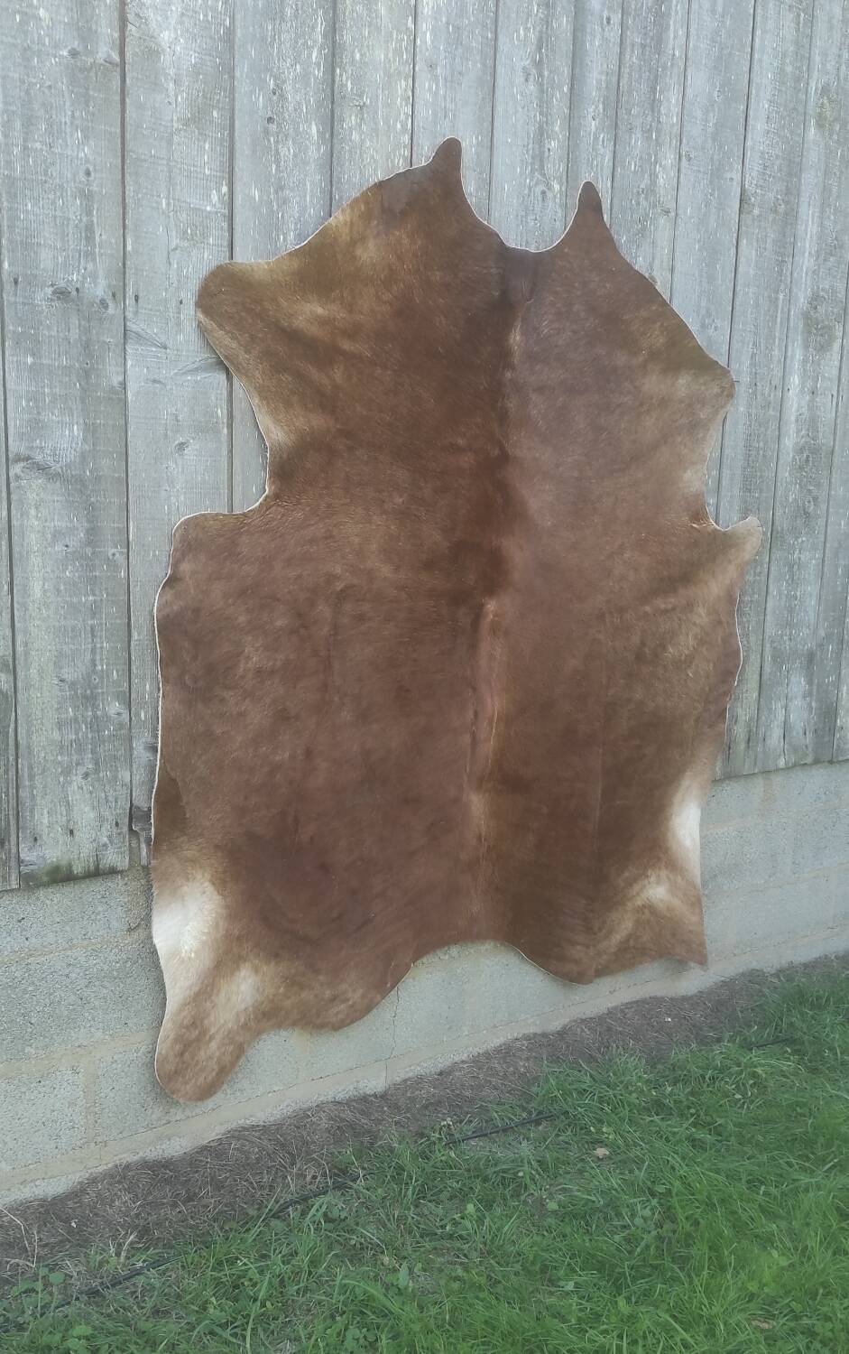 Cowhide XL