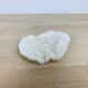 Natural White Fungia Coral