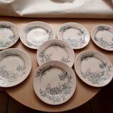 Plates